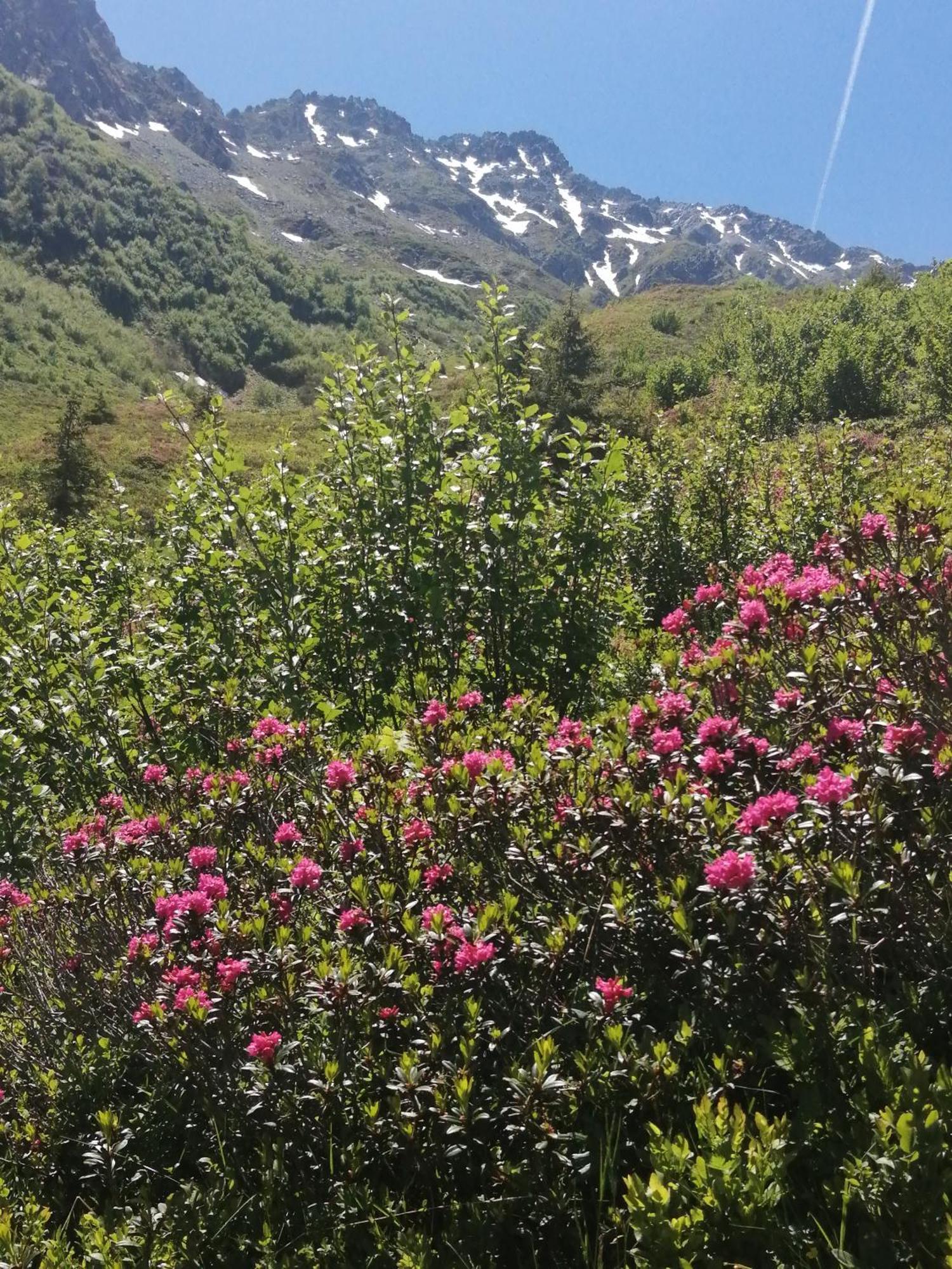 Superbe Studio Aux 7 Laux La Ferrière 외부 사진